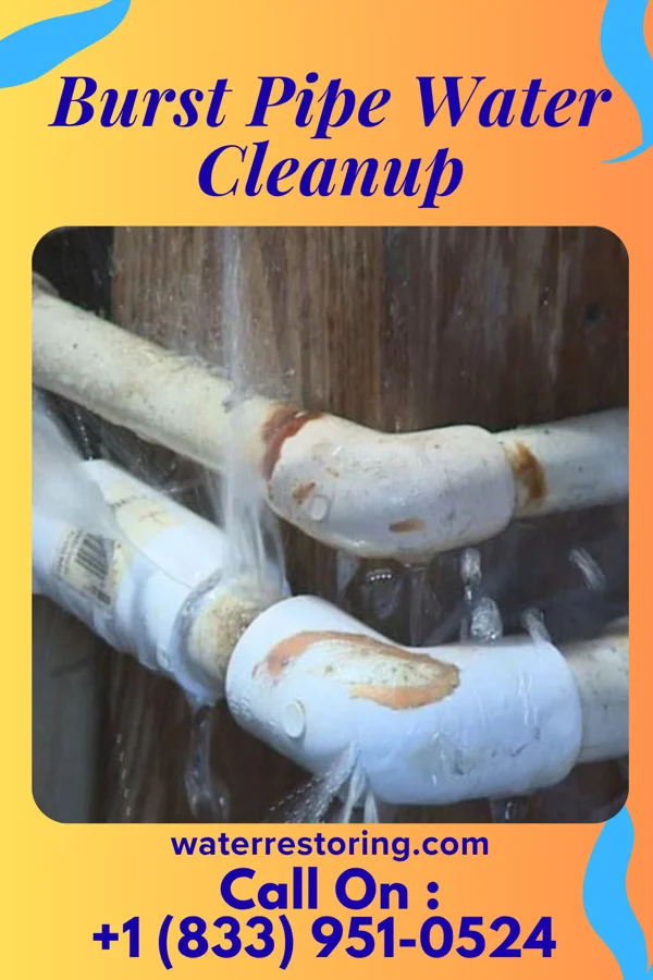 Burst Pipe Water Cleanup in Albany, WI