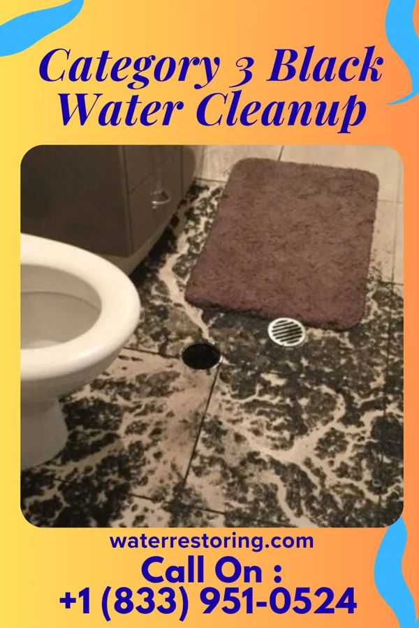 Category 3 Black Water Cleanup in Albany, WI