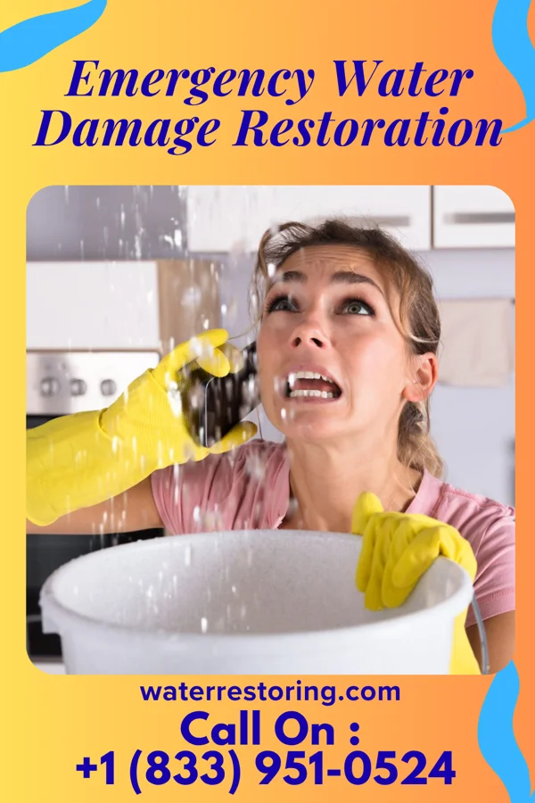 Emergency Water Damage Restoration in Albany, WI