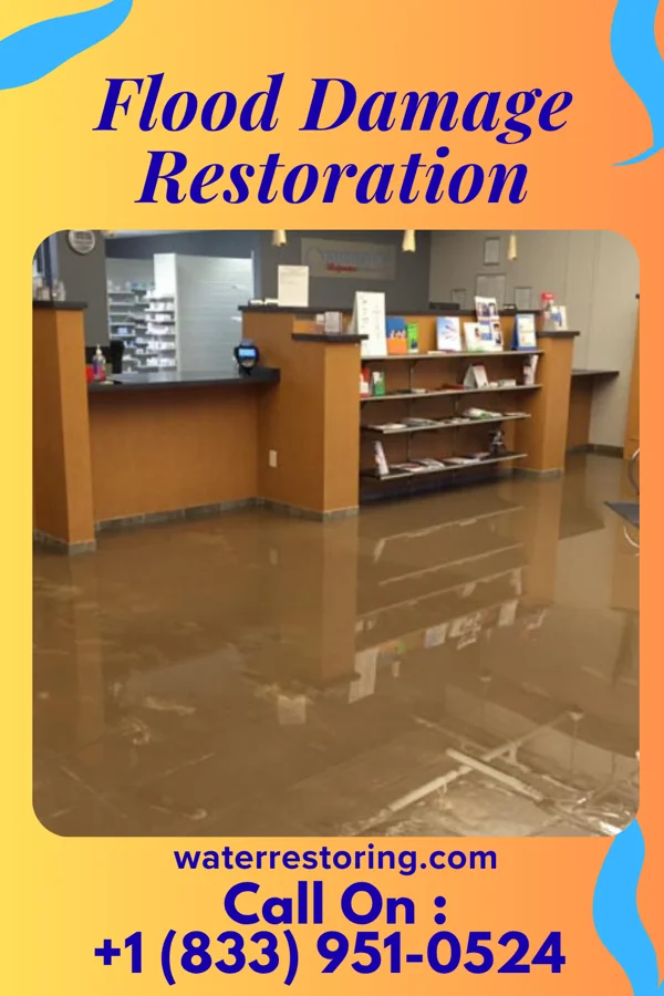 Flood Damage Restoration in Albany, WI