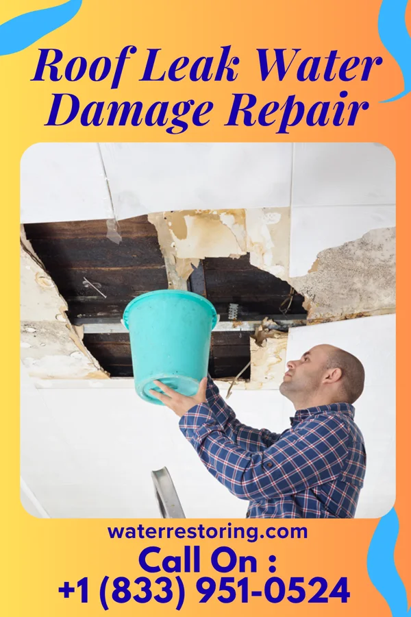 Roof Leak Water Damage Repair in Albany, WI