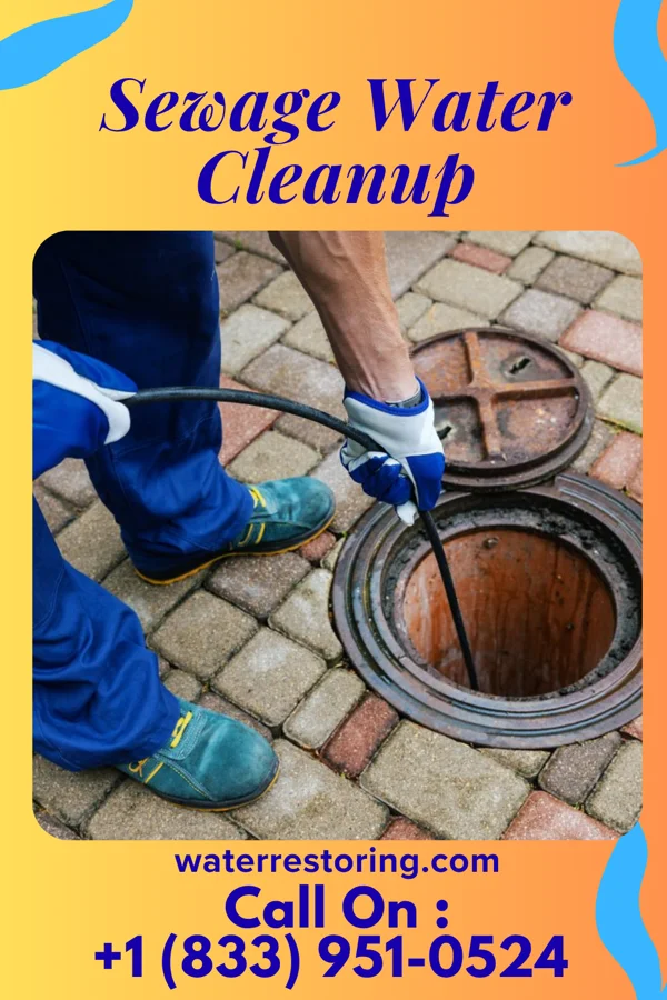 Sewage Water Cleanup in Albany, WI